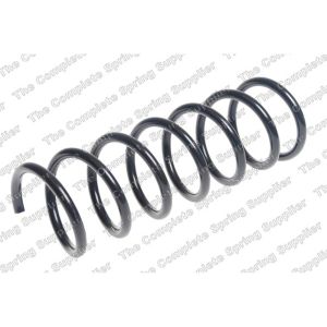 Coil Spring - Rear