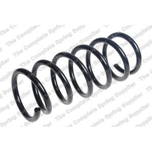 Coil Spring - Rear