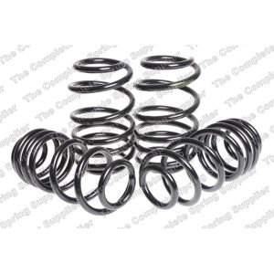 Suspension Kit, Coil Springs