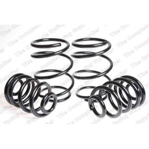 Suspension Kit, Coil Springs