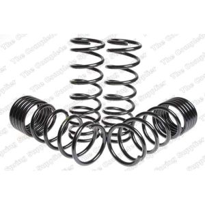 Suspension Kit, Coil Springs