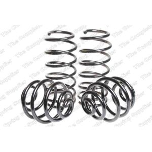 Suspension Kit, Coil Springs