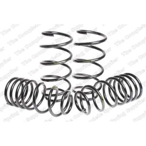 Suspension Kit, Coil Springs