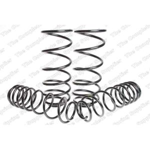 Suspension Kit, Coil Springs