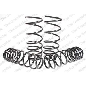 Suspension Kit, Coil Springs