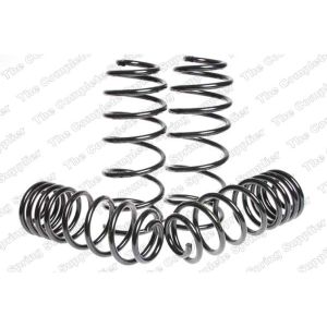 Suspension Kit, Coil Springs