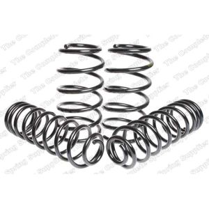 Suspension Kit, Coil Springs