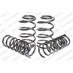 Suspension Kit, Coil Springs