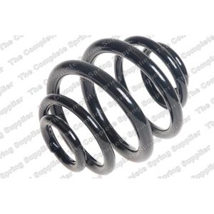 Coil Spring - Rear