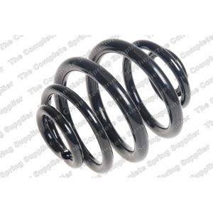 Coil Spring - Rear