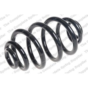 Coil Spring - Rear