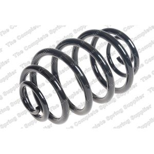 Coil Spring - Rear