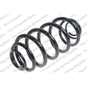 Coil Spring - Rear