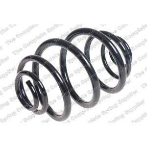 Coil Spring - Rear