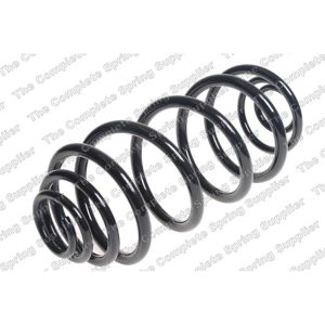 Coil Spring - Rear