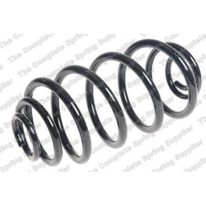 Coil Spring - Rear