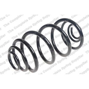 Coil Spring - Rear