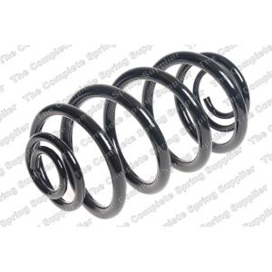 Coil Spring - Rear