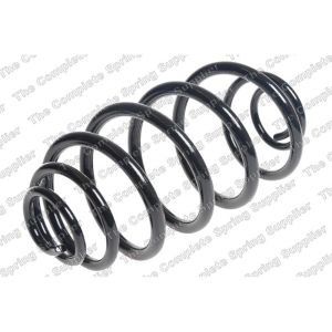 Coil Spring - Rear