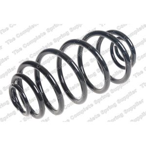 Coil Spring - Rear