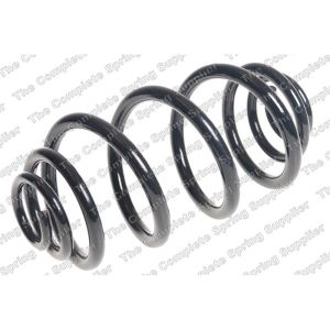 Coil Spring - Rear