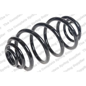 Coil Spring - Rear