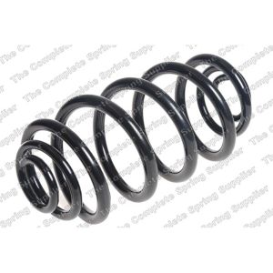 Coil Spring - Rear