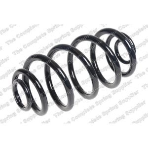 Coil Spring - Rear