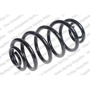 Coil Spring - Rear