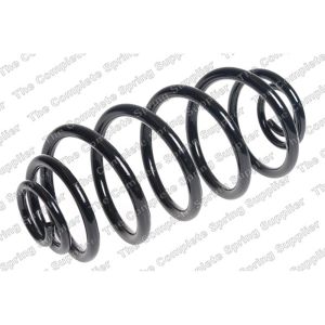 Coil Spring - Rear