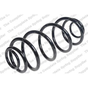 Coil Spring - Rear