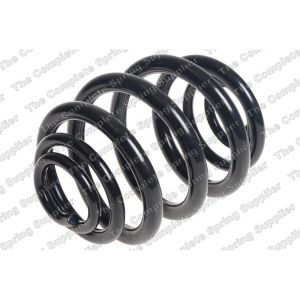 Coil Spring - Rear