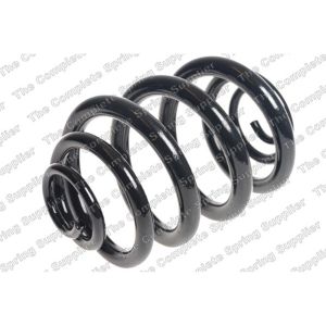 Coil Spring - Rear