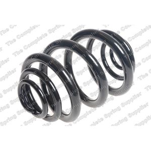 Coil Spring - Rear