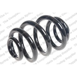 Coil Spring - Rear