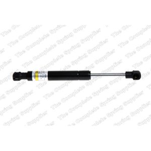 Gas Struts - Front