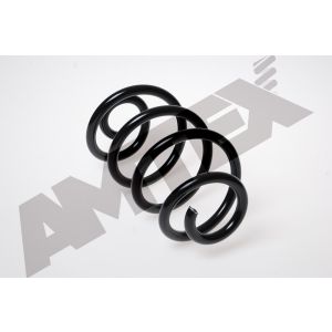 Coil Spring - Rear