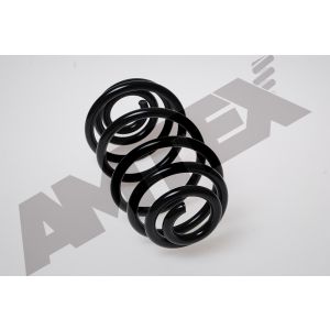 Coil Spring - Rear