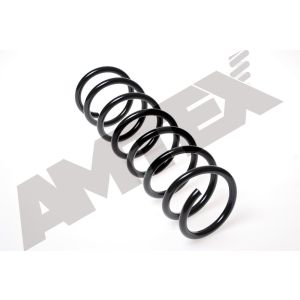 Coil Spring - Rear