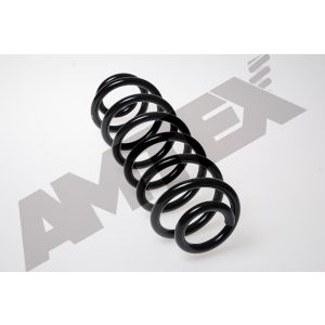 Coil Spring - Rear