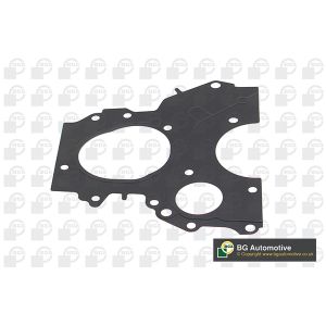 Timing Case Gasket