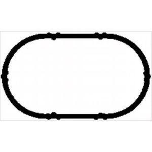 Inlet Manifold Gasket