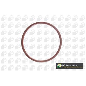 Crankshaft Seal