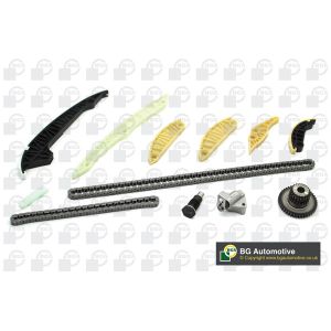 Cam / Timing Chain Kit With Gear