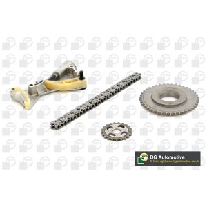 Cam / Timing Chain Kit With Gear