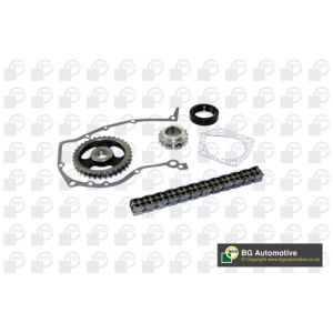 Cam / Timing Chain Kit With Gear