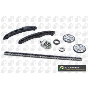 Cam / Timing Chain Kit With Gear