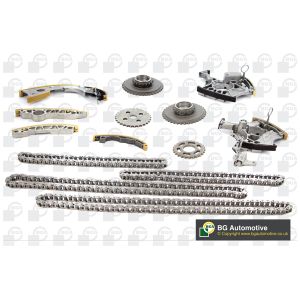 Cam / Timing Chain Kit With Gear