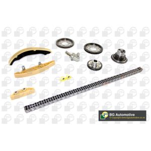 Cam / Timing Chain Kit With Gear