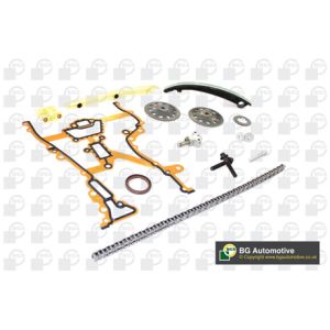 Cam / Timing Chain Kit With Gear